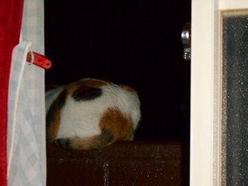 9月27日（18-10）仮