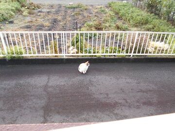 9月28日（5-2）仮