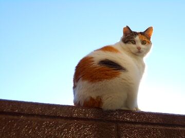 11月30日（14）仮