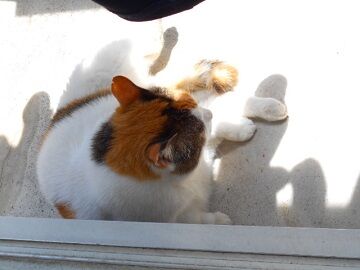 5月25日（10）仮