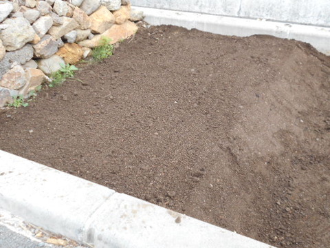 DSCN1028