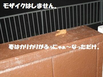 9月17日（20-3）仮