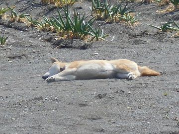 3月4日(9)