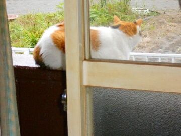 10月14日（6）仮