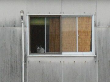 ７月12日（1）－2仮