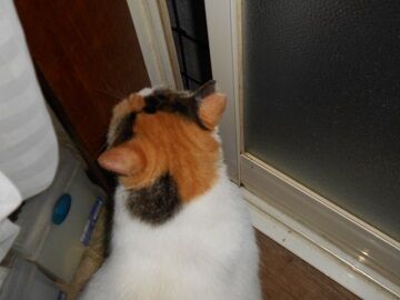 9月3日（18-2）仮