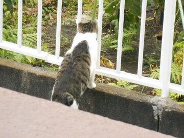 9月11日（23）仮