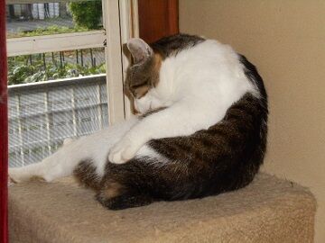 6月20日（21）仮