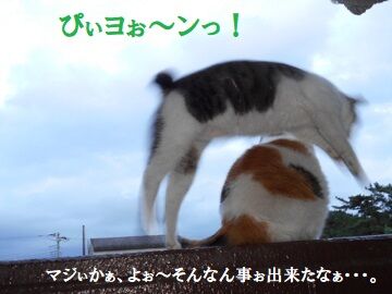 7月15日(26)仮