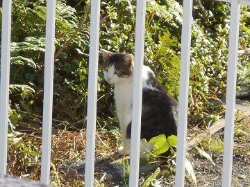 9月30日（7-15）仮