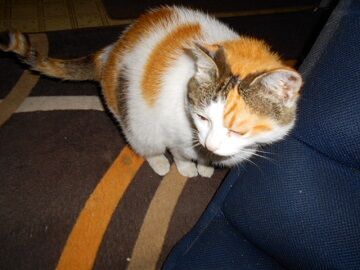 6月26日（14）仮