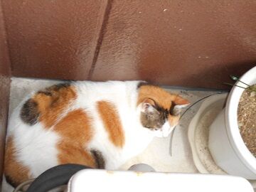 9月15日（12-1）仮