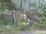 4月22日(10)仮