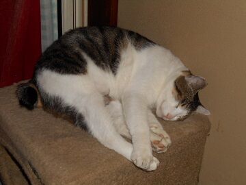 9月22日（22-3）仮