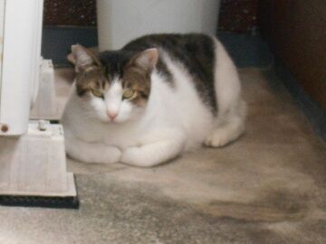 9月2日（7－5）仮