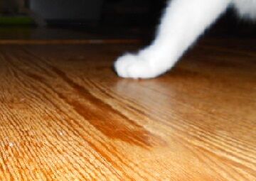 11月22日（8）仮