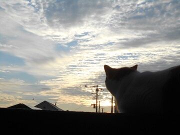 9月30日（24）仮