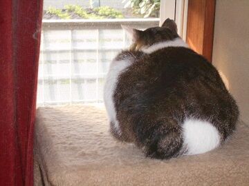 6月20日（25）仮