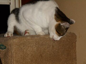 9月27日（19-7）仮