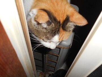 10月1日（5-1）仮