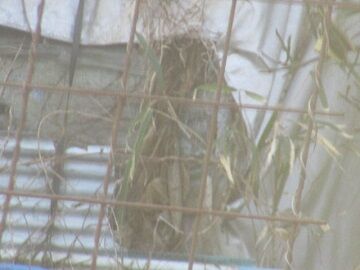 3月20日 (16)仮