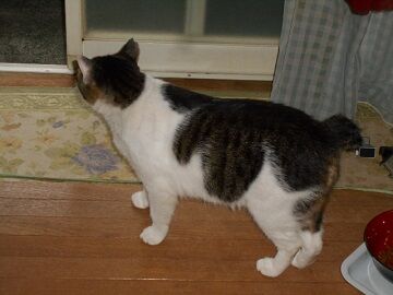 9月12日（7-5）仮