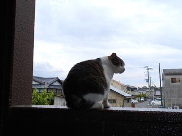 5月18日（82）仮