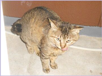 5月28日（63）仮