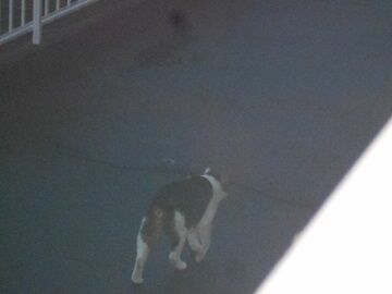 5月10日（74）仮