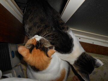 9月23日（5-3）仮