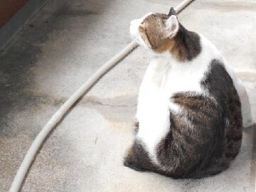 10月7日（18）仮