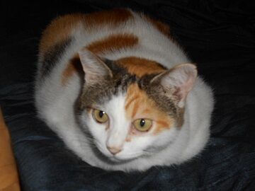 9月22日（7-3）仮