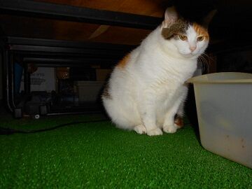 10月22日（12）仮