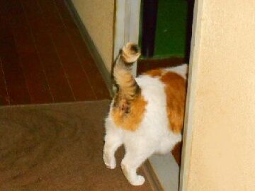 3月24日（26）仮