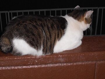 10月4日（22-11）仮