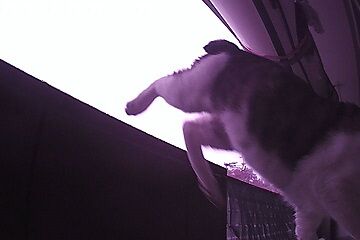 12月30日（5.3）仮