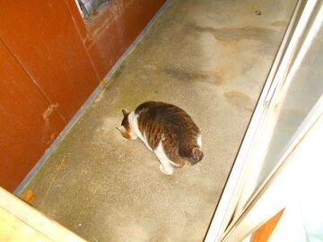 2月4日　23-45-3仮