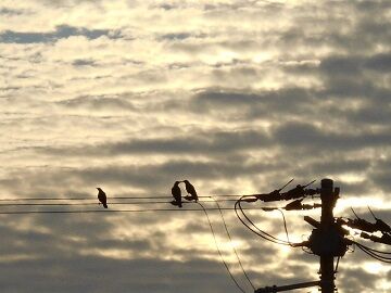 9月30日（26）仮