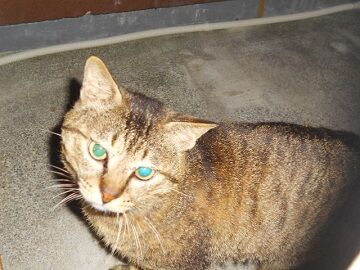 5月10日（65）仮