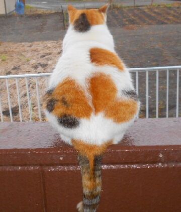 10月15日（3）使用