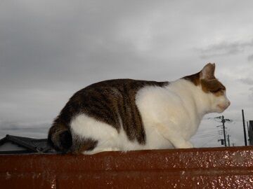 10月18日（24）仮