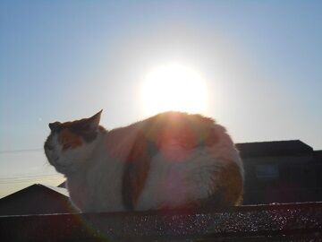 3月25日（11）仮