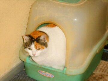 11月30日（45）仮