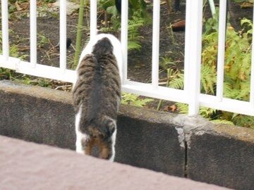 9月11日（18）仮