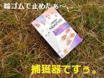2月10日（76）仮