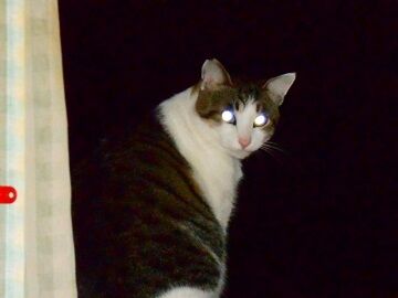 10月24日（25）仮