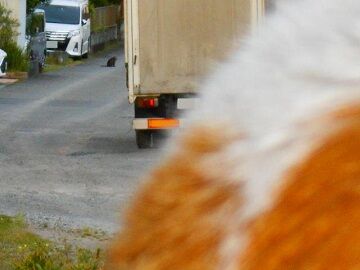 5月24日（27）仮