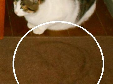 1月26日(35)仮 - コピー