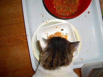 12月8日（23）仮