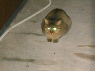 12月8日（22）仮